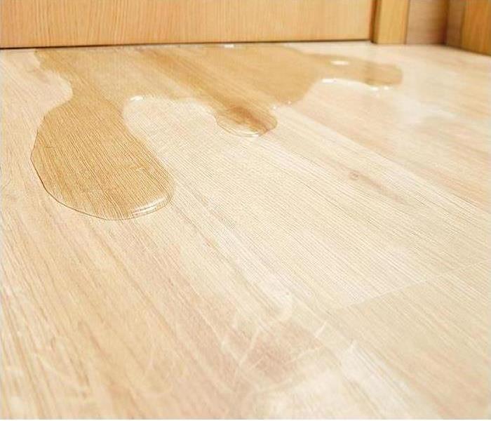 Water on Wood Flooring