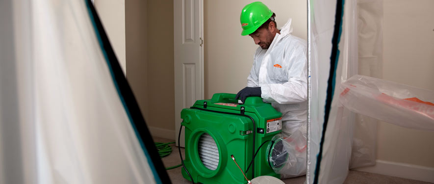 Newark, DE mold cleanup