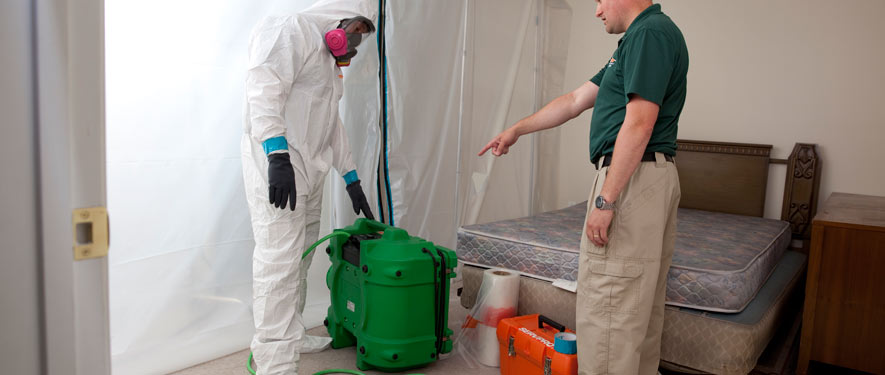 Newark, DE mold removal process